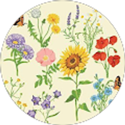 Profile photo of Samantha Ko