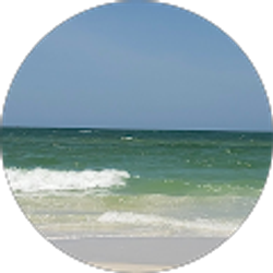 Profile photo of Donna Donna