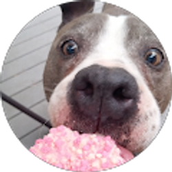 Profile photo of Beth Tasca Fellows