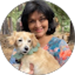 Profile photo of A Gonzalez