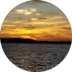 Profile photo of Beverly Davis