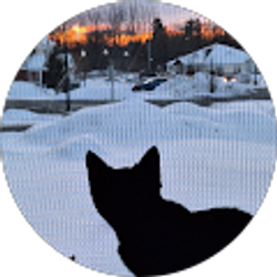 Profile photo of Kim Rodriguez