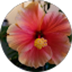 Profile photo of Diane Stringham