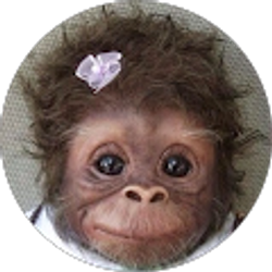 Profile photo of oethro14