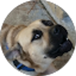 Profile photo of Cayleb Bilecki