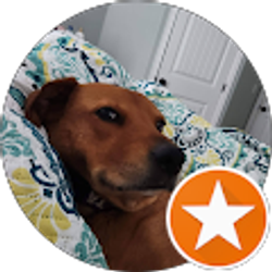 Profile photo of Jr. Mackey