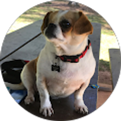 Profile photo of Cassidy Gresham