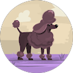 Profile photo of ashley Koopman