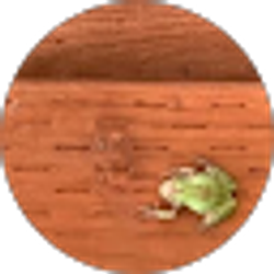 Profile photo of yeshwanth Reddy