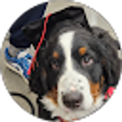 Profile photo of Teagan Buckler