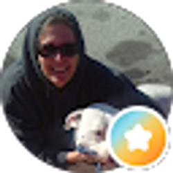 Profile photo of Debra Shew