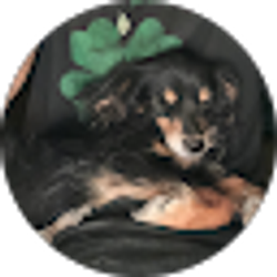 Profile photo of Ozm07