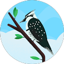 Profile photo of Abosede Otaru