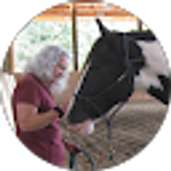 Profile photo of Vicki Hall