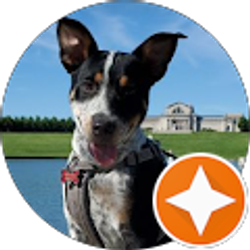 Profile photo of Jeffrey W.