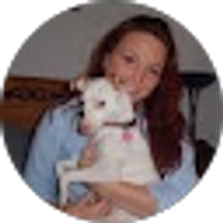 Profile photo of Sandi Evans