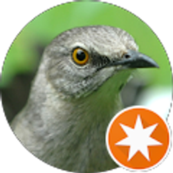 Profile photo of Tim Methvin