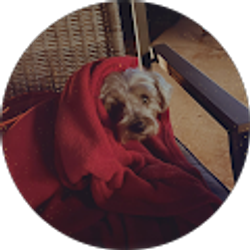 Profile photo of Cynthia heffner