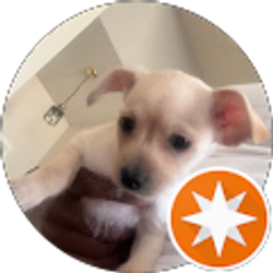 Profile photo of Brown Grrl