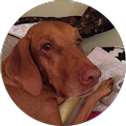 Profile photo of M van