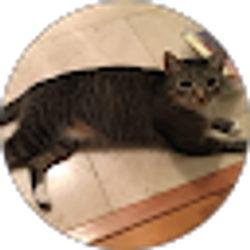 Profile photo of M Fryer