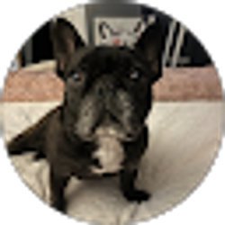 Profile photo of Lyndsey Vielhaber
