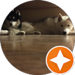 Profile photo of John Bill