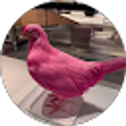 Profile photo of J