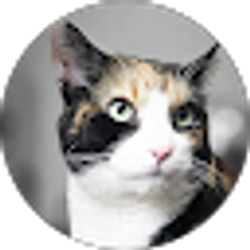 Profile photo of Yvette Tewa