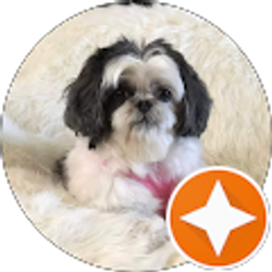 Profile photo of Ivy Medley-Cox