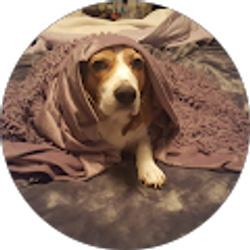 Profile photo of Tom Flail