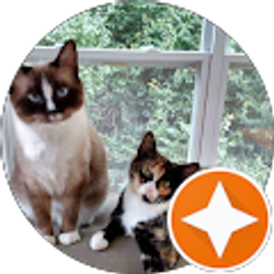 Profile photo of Tom Reese