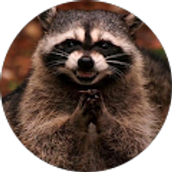 Profile photo of Megan Harris
