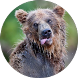 Profile photo of alex laforge