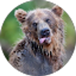 Profile photo of alex laforge