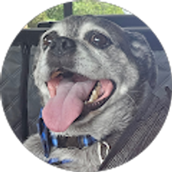 Profile photo of Tammy Zacks