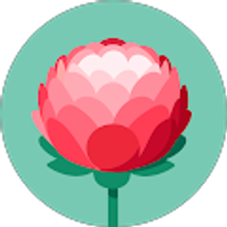 Profile photo of Mszczech