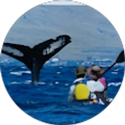 Profile photo of jlcliff