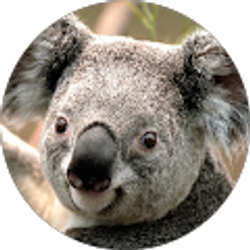 Profile photo of Ron Burrell