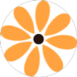 Profile photo of Brio Wellness Center