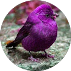 Profile photo of Drew Daugherty