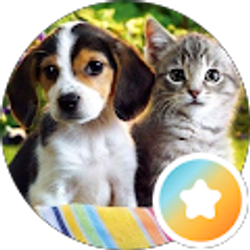 Profile photo of Somia Abdelgawad