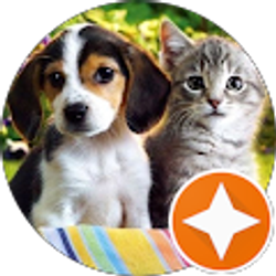 Profile photo of Somia Abdelgawad