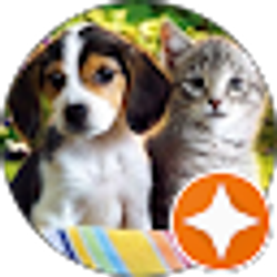 Profile photo of Somia Abdelgawad