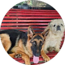 Profile photo of Leighann Walter