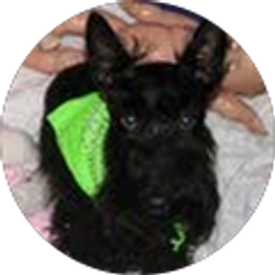 Profile photo of Kelly Reynolds