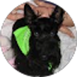 Profile photo of Kelly Reynolds