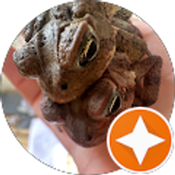 Profile photo of Monica Tate