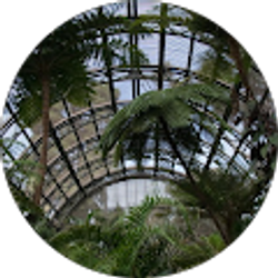 Profile photo of Botanic Wonders