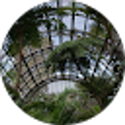 Profile photo of Botanic Wonders